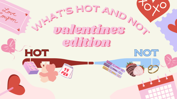 Valentines Day Hot or Not