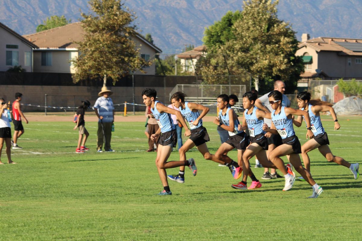 Dashing into the New Cross Country Season