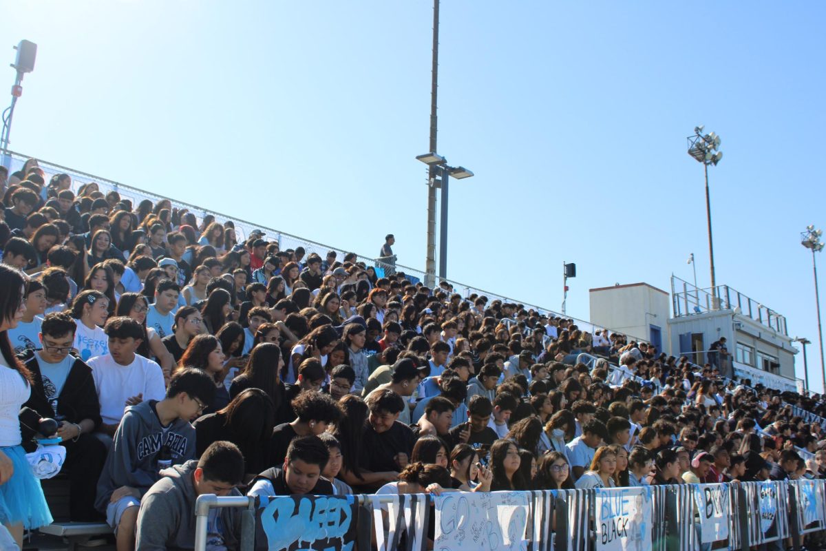 Students eagerly await the start of the annual Blue, Black and White Assembly. The crowd was excited and energetic throughout the assembly.
